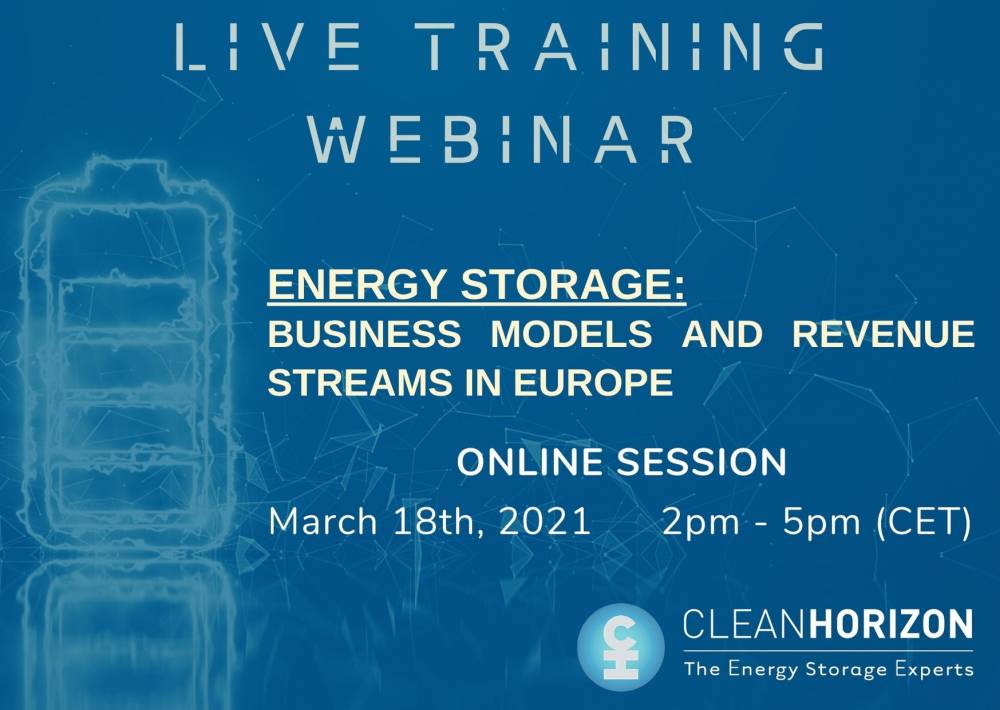 Training Webinar Session 2: Business models and revenue streams in Europe