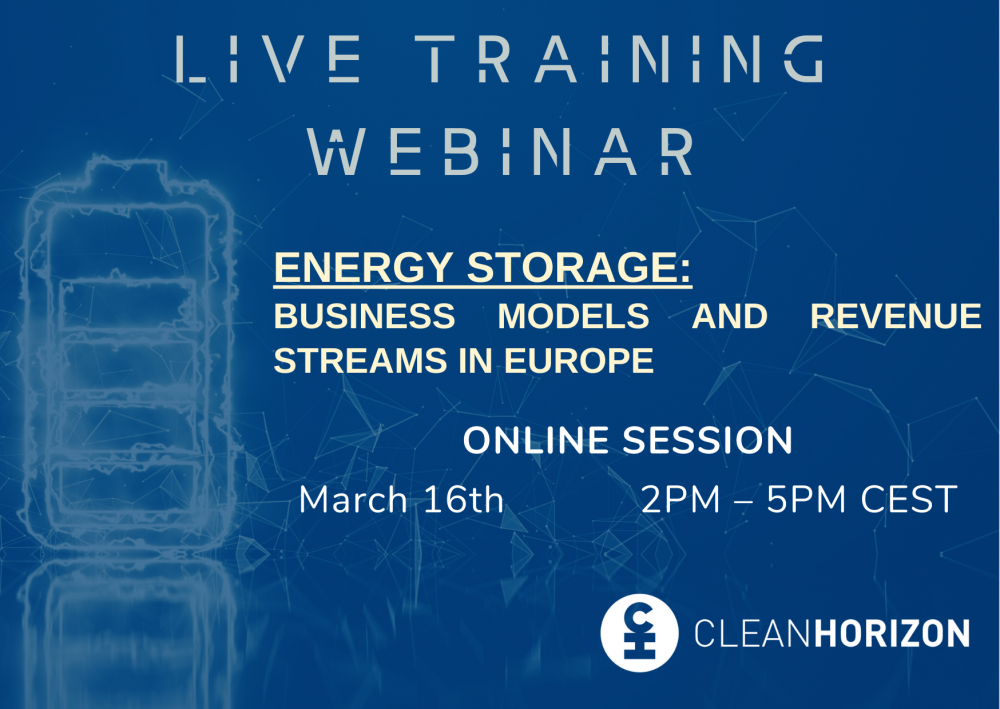 Training Webinar Session 2 (March 2023): Business models and revenue streams in Europe
