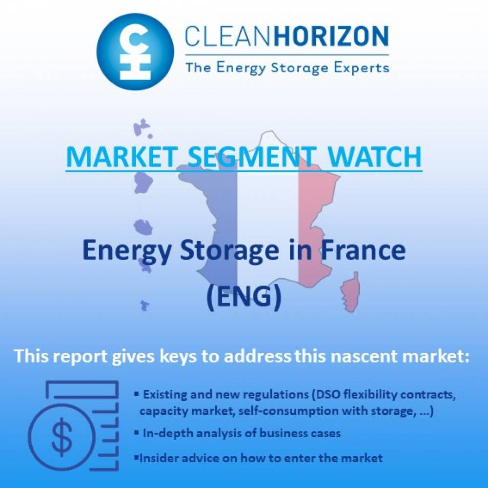 Market Segment Watch France (ENG) 2017
