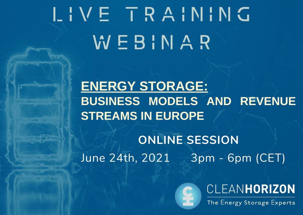 Training Webinar Session 2: Business models and revenue streams in Europe