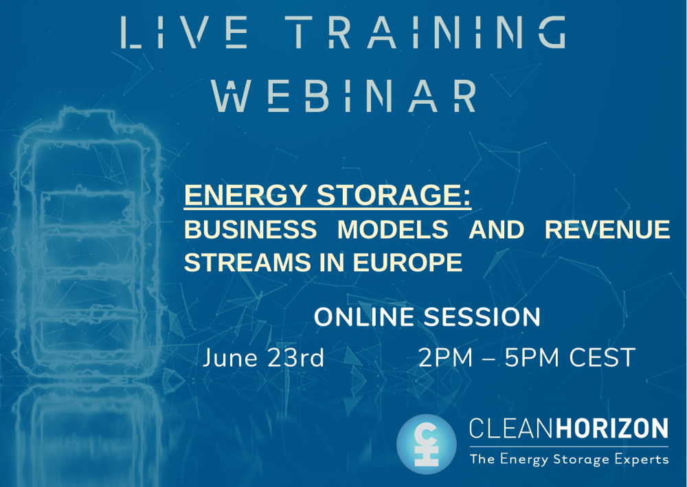 Training Webinar Session 2: Business models and revenue streams in Europe