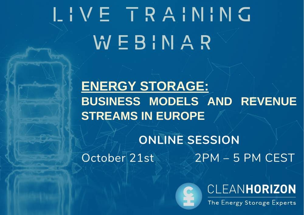 Training Webinar Session 2: Business models and revenue streams in Europe