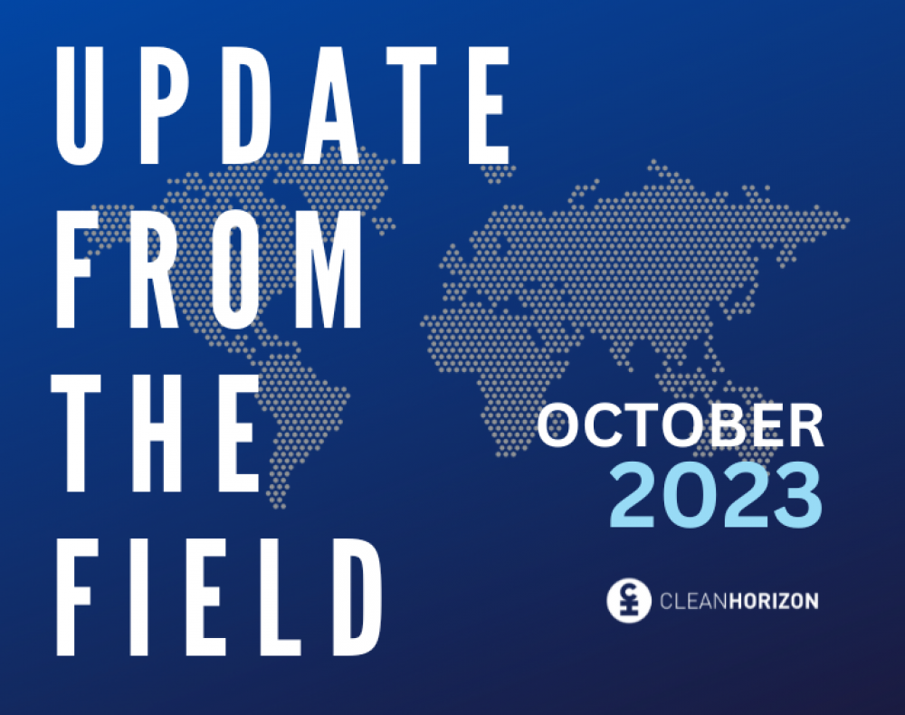 Update From the Field - October 2023: What is the impact of support schemes for storage on the European markets?